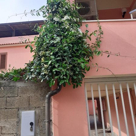 古斯皮尼L'Agrifoglio Di Emy住宿加早餐旅馆 外观 照片