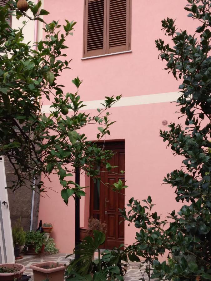 古斯皮尼L'Agrifoglio Di Emy住宿加早餐旅馆 外观 照片