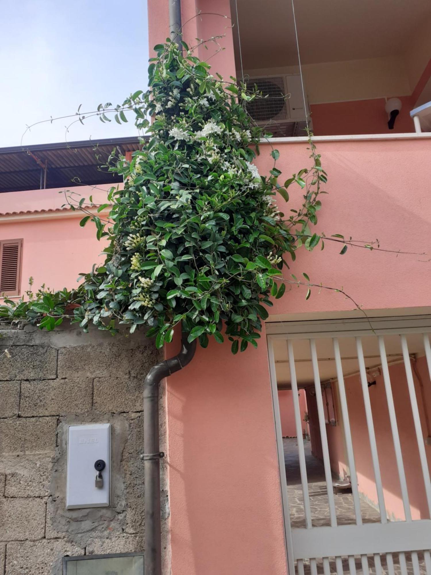 古斯皮尼L'Agrifoglio Di Emy住宿加早餐旅馆 外观 照片